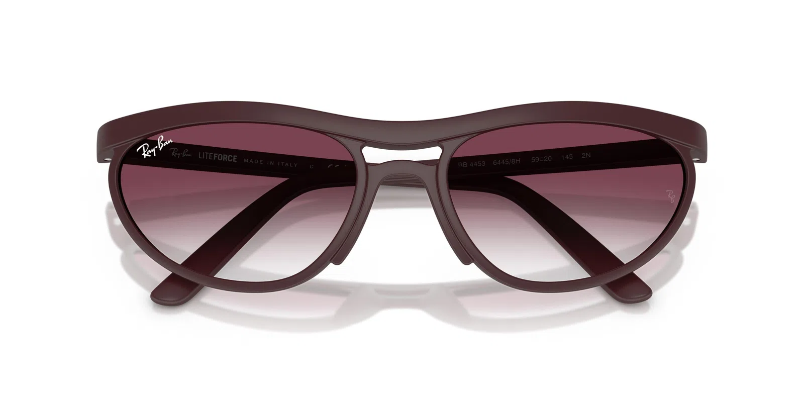Ray-Ban 4453 Sunglasses - view 29